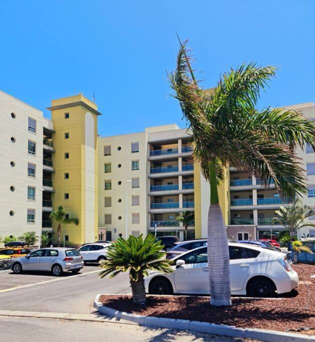 Homely Apt In Modern Building With Pool Σαν Μιγκέλ ντε Αμπόνα Εξωτερικό φωτογραφία