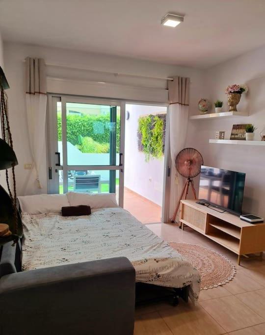 Homely Apt In Modern Building With Pool Σαν Μιγκέλ ντε Αμπόνα Εξωτερικό φωτογραφία